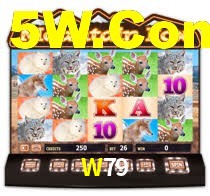 W79,w79.com